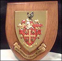 The plaque
