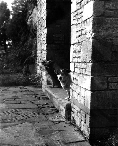 In the shelter near the hall