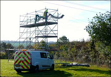scaffold