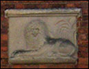 The Lion