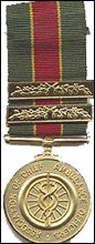 Award for 20 years service with two bars for 5 years, so 30 years servcie