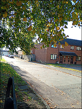 Harboro Way from the Pightles