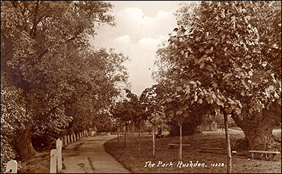 trees