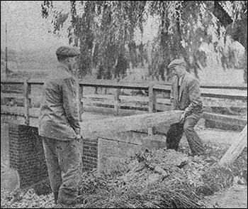 clearing the brook