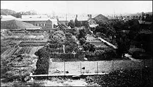 allotments