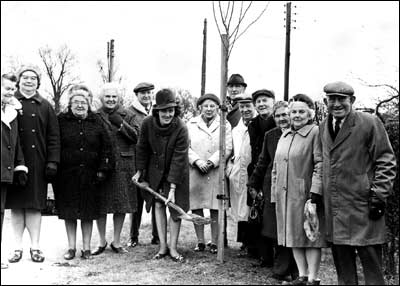 Plant a tree in '73