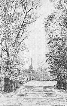 The Avenue