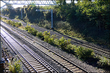 the tracks